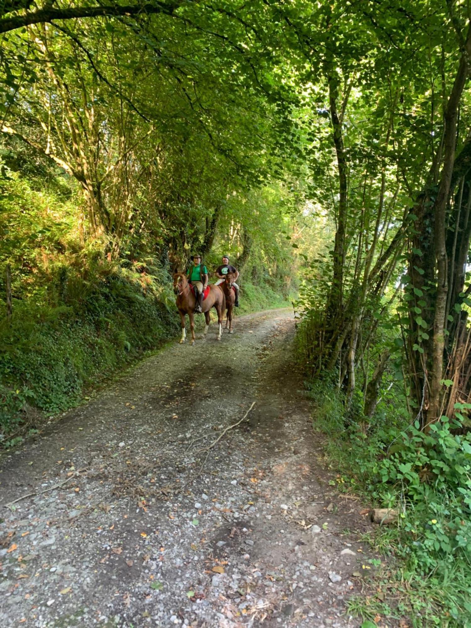 Agroturismo Gure Naia Carranza Esterno foto