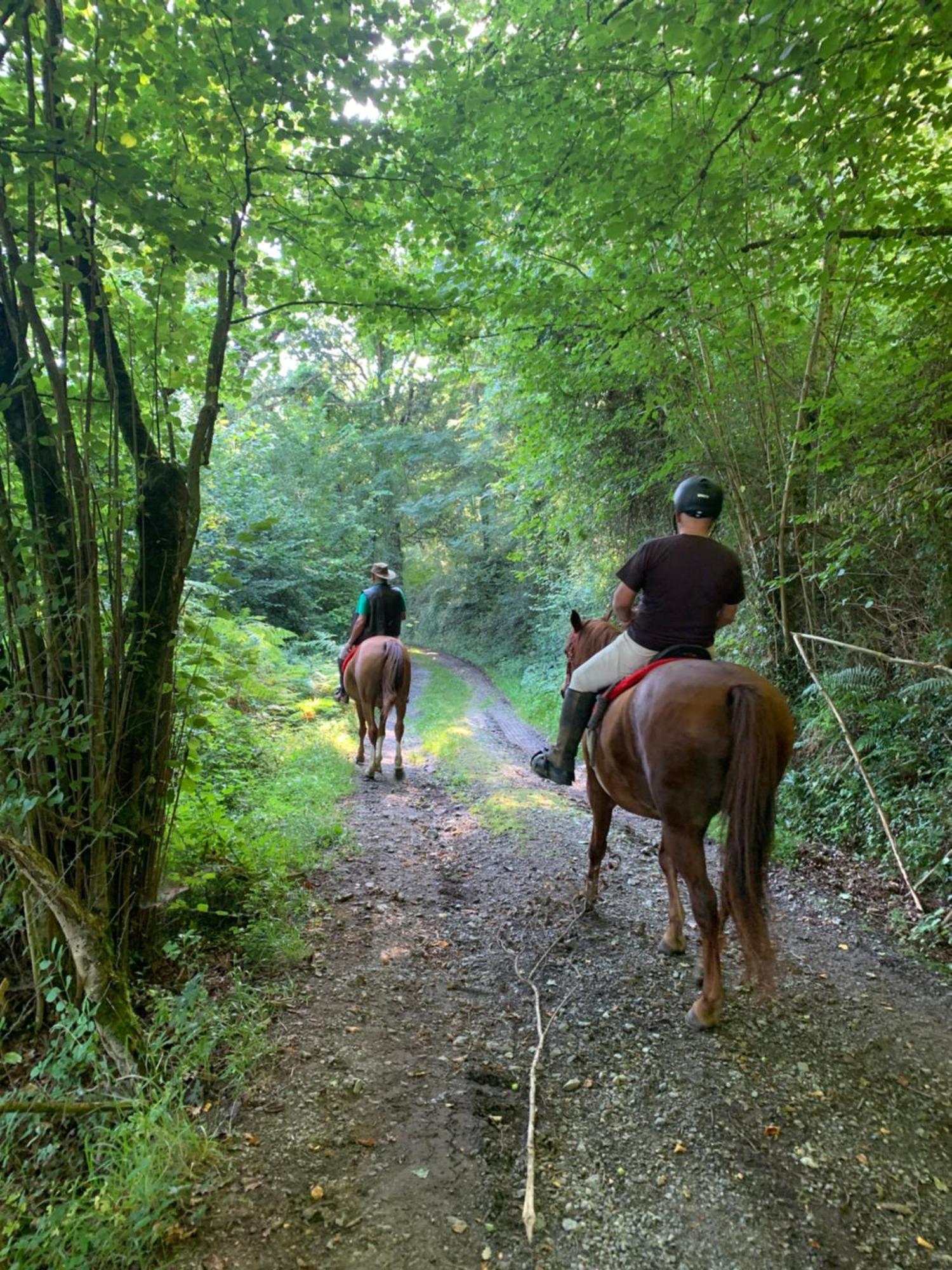 Agroturismo Gure Naia Carranza Esterno foto